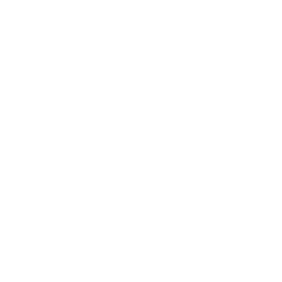 logoWhite